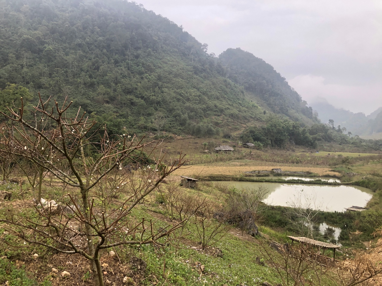 Eco-tourism Pu Luong by Bike: A Journey to Discover Nature on Two Wheels